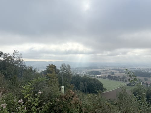 Wittekindsweg Etappe 4: Großer Kellenberg - Nettelstedt