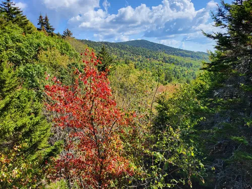 The Pinnacle - hikes and trails to get you there | AllTrails