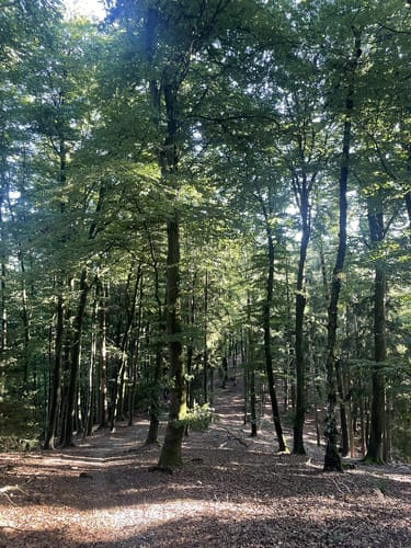 Stadlecker Berg Rundweg via Heinzelspitze