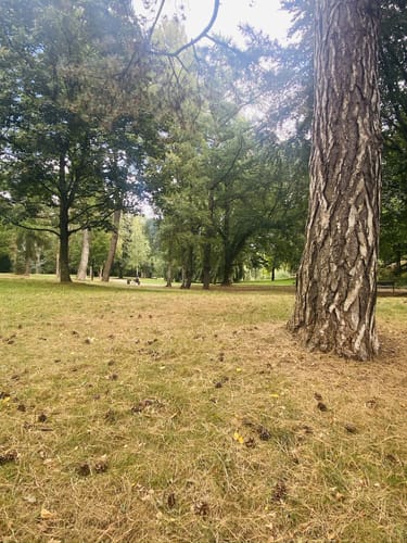 Eppendorfer Park Runde