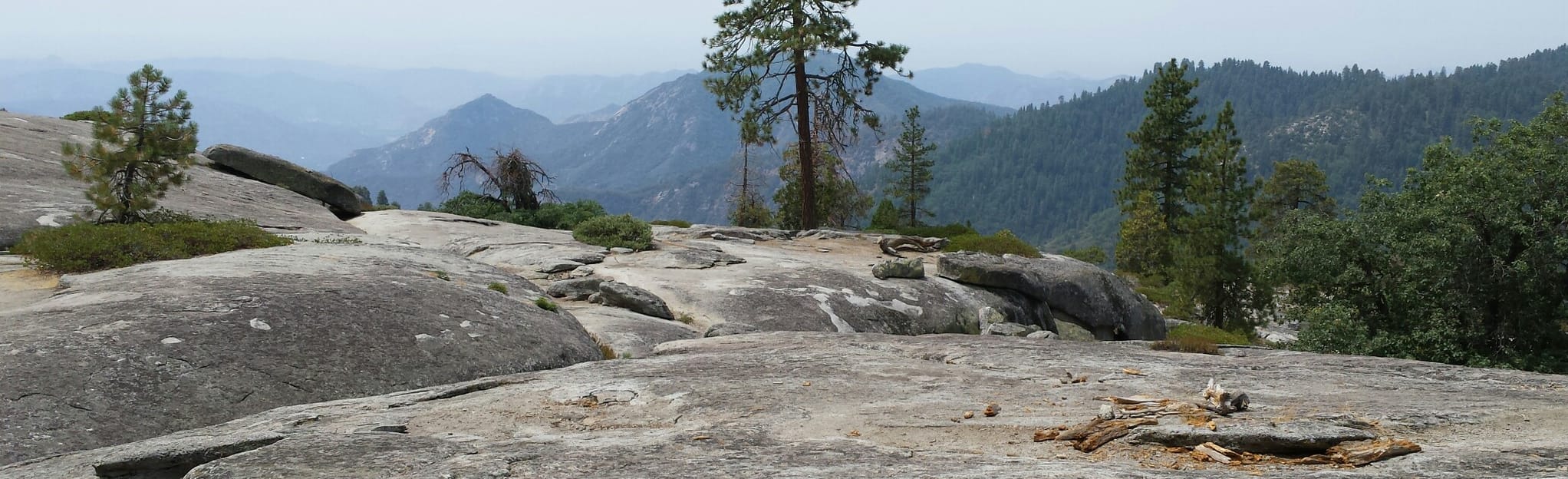 Beetle Rock Vista, California 125 Reviews, Map AllTrails