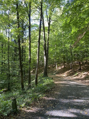 Margarethenhöhe - Großer Ölberg