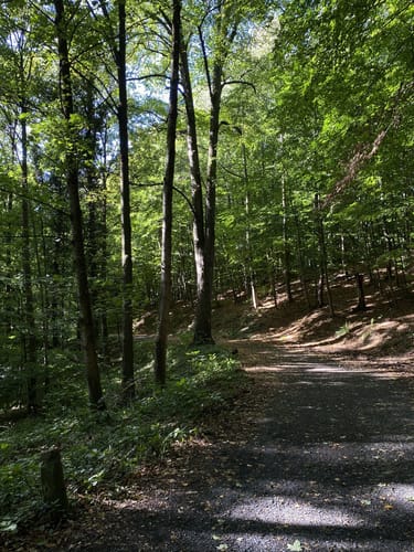 Margarethenhöhe - Großer Ölberg