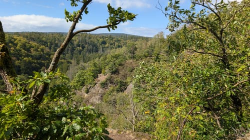 Klippenlauf Harzgerode: 15 km Kurs