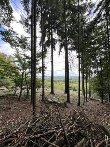 Wildenburg mit Aussichtsturm
