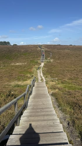 Durch die Braderuper Heide