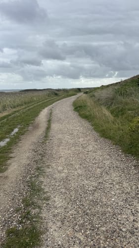 Durch die Braderuper Heide