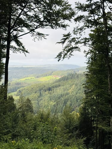 Höhehäuser - Geisberg
