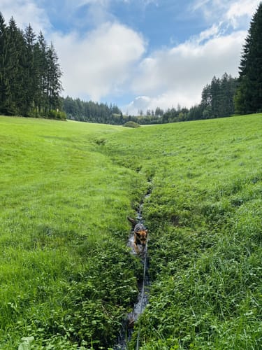 Höhehäuser - Geisberg
