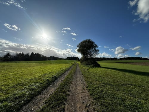 Schwedelbach Rundwanderung