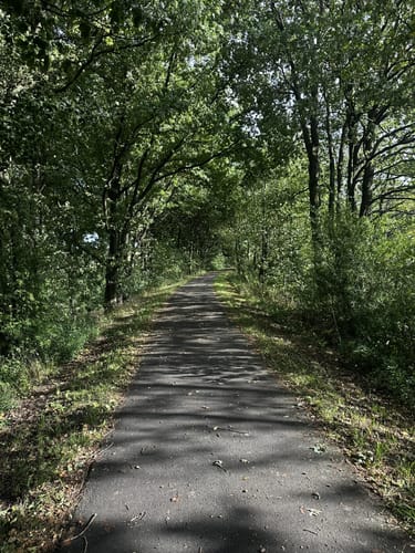 Schwedelbach Rundwanderung