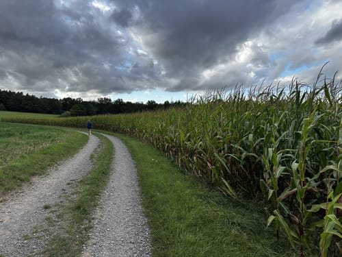Schwedelbach Rundwanderung