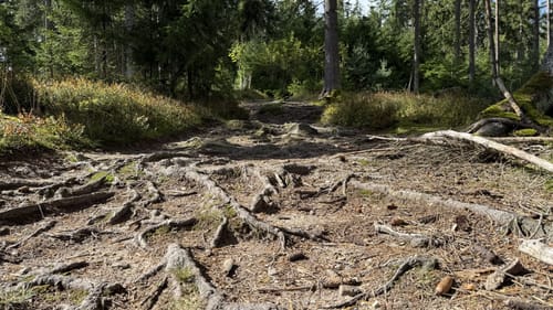 Rundweg Weißenstadt Nr. 3: Zum Rudolfstein und den Drei-Brüder-Felsen