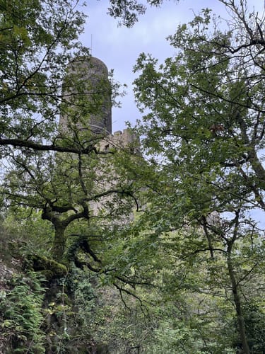 Rheinsteig: Kamp Bornhofen - Kestert - St. Goarshausen