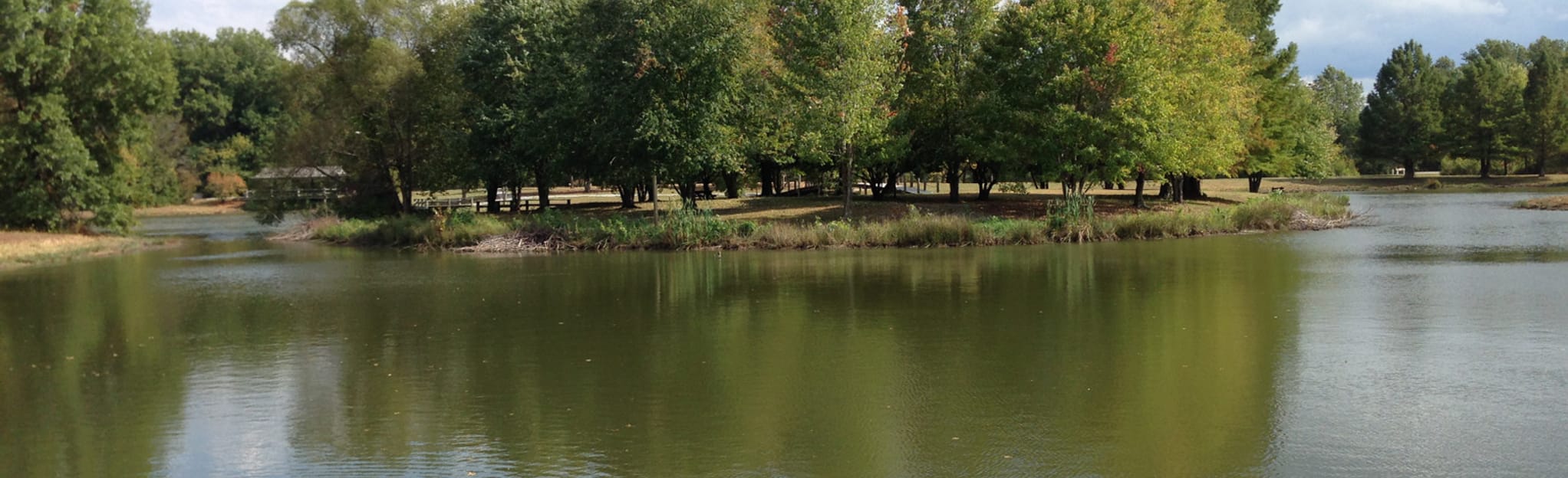 Oakwood Bottoms and Big Muddy River Levee Trail 20 Reviews, Map