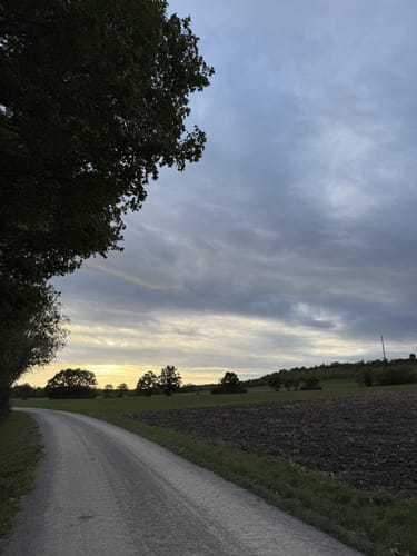 Windsheim - Schloßbuck