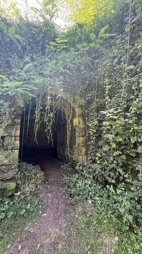 Rund um den Hornwald und die Hochburg