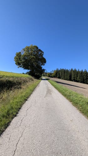Waldecker Rundwanderwege: Rote Diagonale (um Beringsreuth)