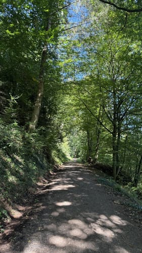 Rund um den Hornwald und die Hochburg