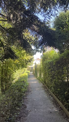 Rund um den Hornwald und die Hochburg