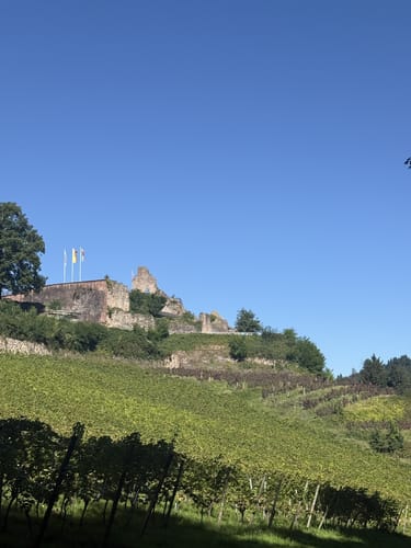 Rund um den Hornwald und die Hochburg