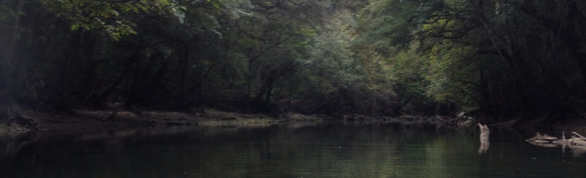 Spring Creek Paddle Trip Brinson Landing to Smith Landing, 7