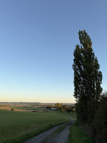Windsheim - Schloßbuck
