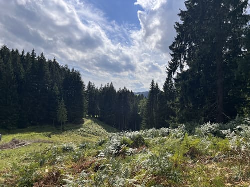 Sachrang und Spitzsteinhaus Rundweg