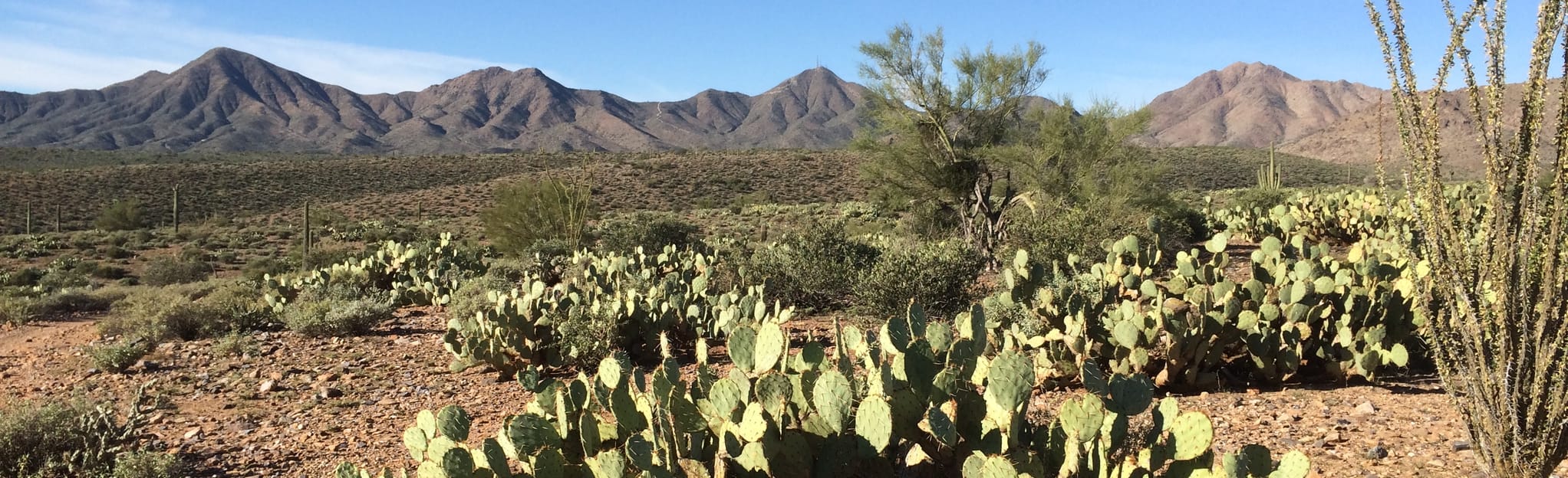 Pemberton and Tonto Tank Loop Trail, Arizona 69 Reviews, Map AllTrails