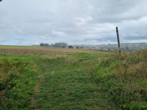 Wasser Dichter Spuren (Traumschleife )