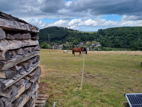 Wasser Dichter Spuren (Traumschleife )
