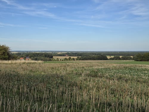 Lila Route - Stemweder Berg
