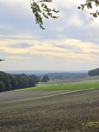 Lila Route - Stemweder Berg