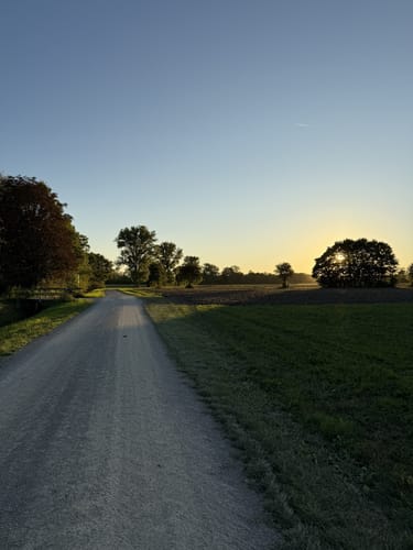 Windsheim - Schloßbuck