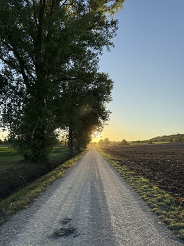 Windsheim - Schloßbuck