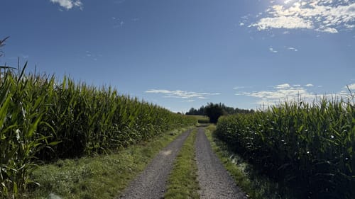 Bad Weißenstadt - Grubbach - Grafenmühle
