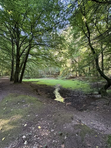 Hochfelsweg