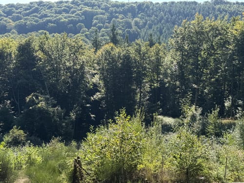 Hochfelsweg