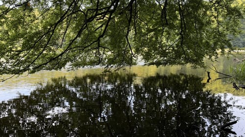 Plötscher See und Garrensee