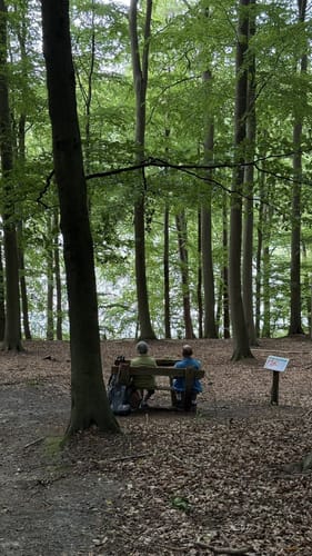 Plötscher See und Garrensee