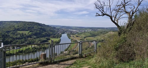 Von Igel zum Moselblick