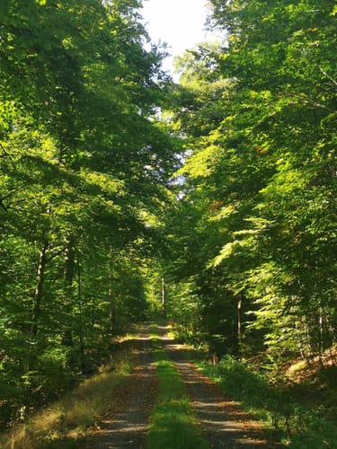 Eltmann (E1): Zwei -Täler - Wanderung: Kaltengrund und Lochbachtal