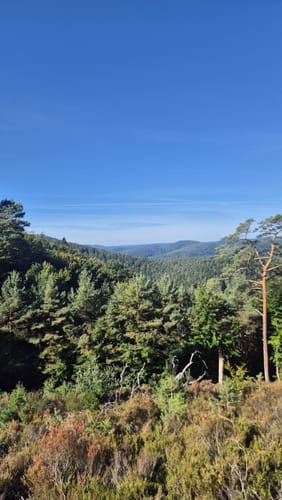 Vom Naturfreundehaus im Heidenbrunner Tal zur Hellerhütte
