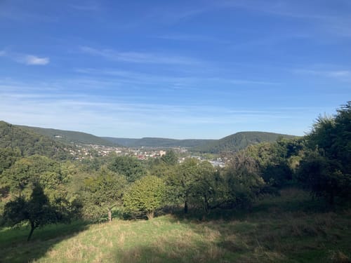 Waldlehrpfad Lohr
