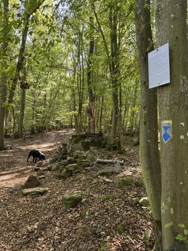 Von Kreuzwertheim zum Himmelreich
