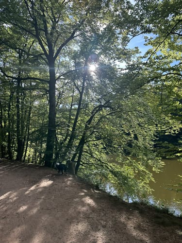 Primmtal Wanderweg Nr. 2