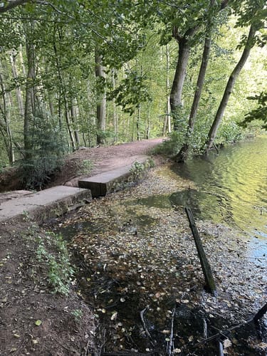 Primmtal Wanderweg Nr. 2