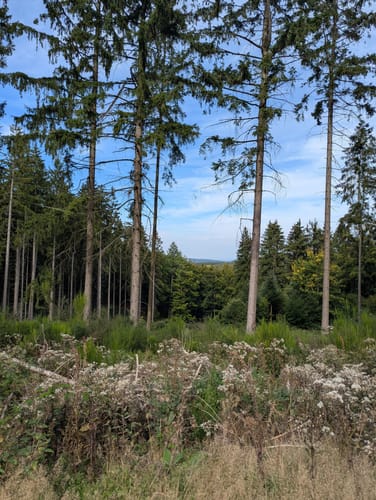 Romantischer Schwadenbach und Traumblicke bei Cassel und Herschbach