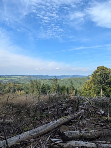 Romantischer Schwadenbach und Traumblicke bei Cassel und Herschbach