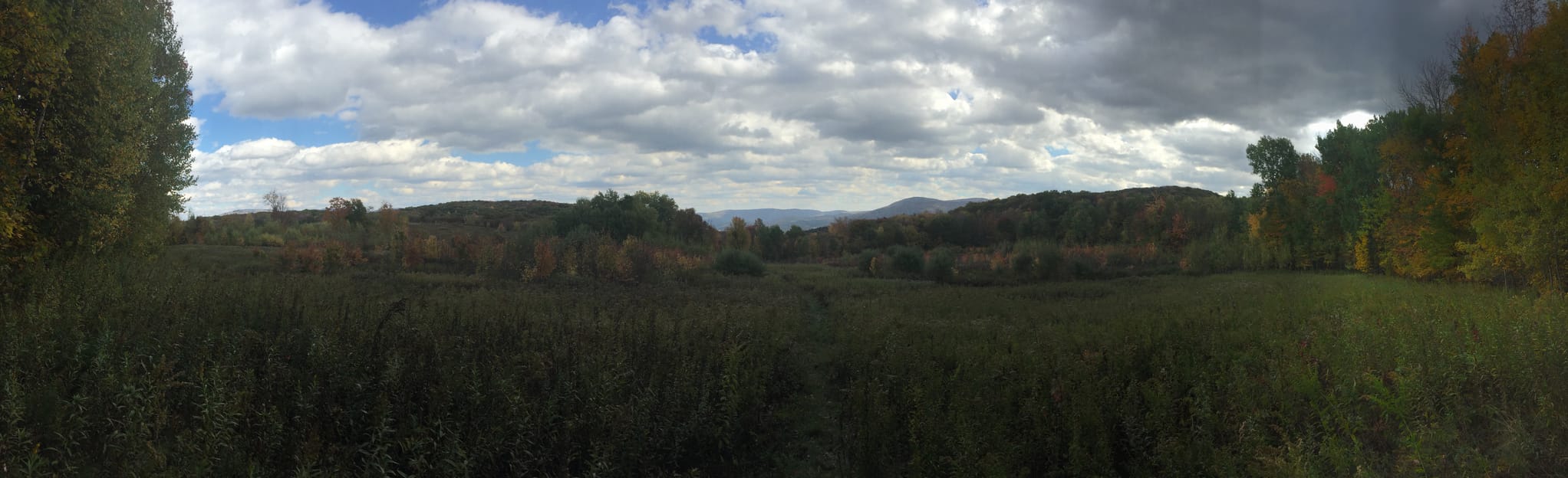 Birch Hill Loop, Massachusetts 43 Reviews, Map AllTrails